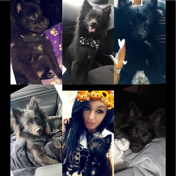 Meet your Posher, Ashley - Picture 12 of 16